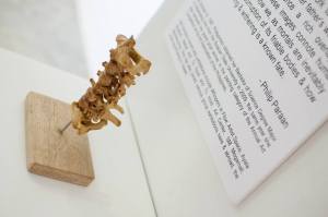 10599430_896575137033128_6282868128944782887_n